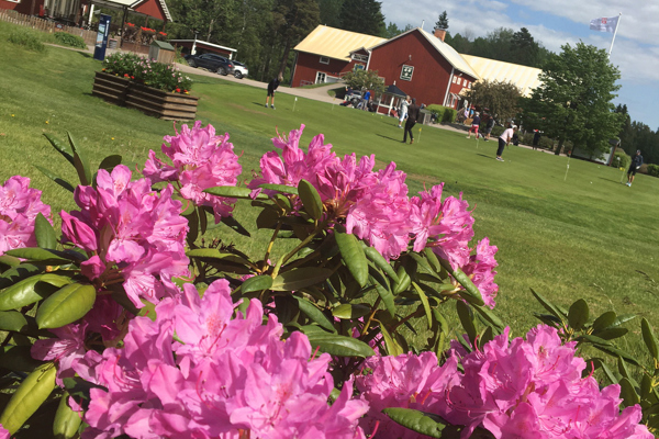 Rapport från styrelsemöte