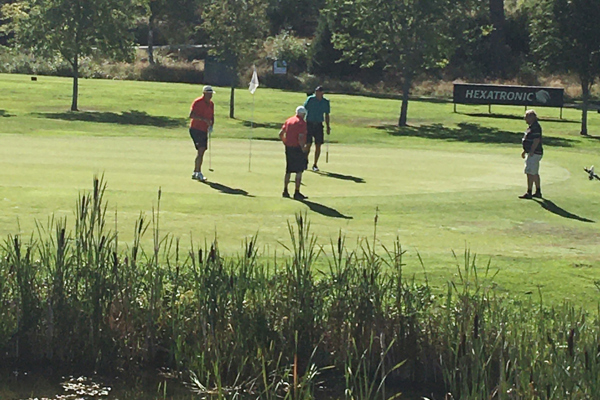 Nybörjarkurser 2025