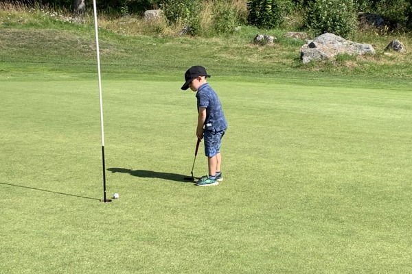 Rapport från styrelsemöte