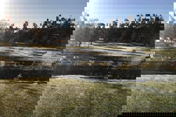 Rapport från styrelsemöte